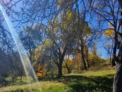 Teren de vanzare Nucșoara