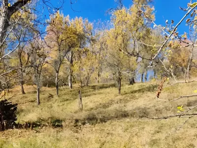 Teren plat de vanzare cumparare cu iarba in Nucșoara Argeș