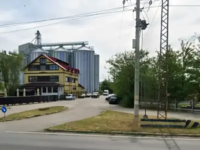 Teren intravilan de vanzare in Păulești Prahova cu verdeata