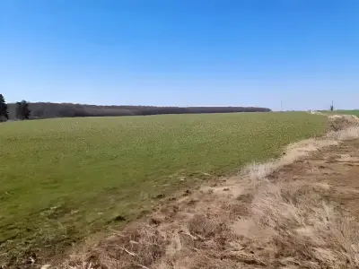Teren de vanzare Săftica