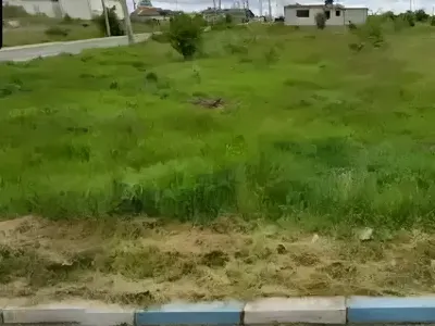 teren vanzare cumparare Schitu Constanta langa case noi