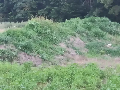 teren de vanzare cumparare cu drum langa padure Sibiu Sibiu