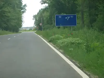 Teren de vanzare in Snagov Ilfov cu acces rutier facil