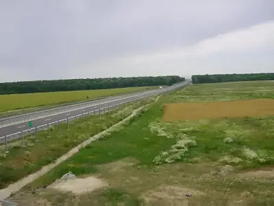 Teren de vanzare-cumparare langa autostrada in Snagov Ilfov