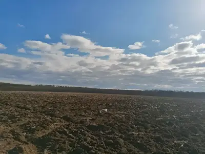Teren extravilan arabil de vanzare in Snagov judetul Ilfov