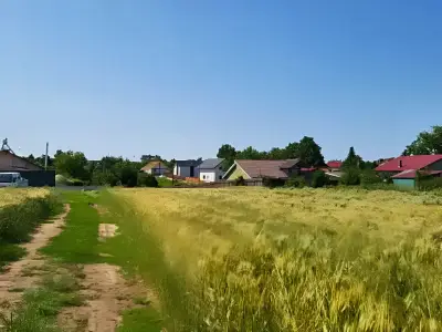 Teren intravilan cu verdeata de vanzare in Snagov Ilfov