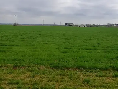 Teren extravilan arabil de vanzare situat in Snagov Ilfov