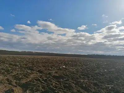 Teren extravilan arabil vanzare cumparare Snagov Ilfov