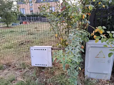 Teren de vanzare Tamași Ilfov cu acces la curent