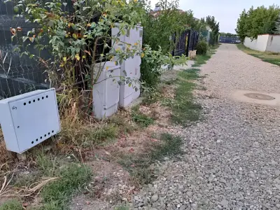 Teren vanzare Tamași Ilfov drum de pamant si utilitati