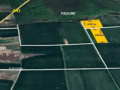 Vanzare cumparare teren Tâncăbești Ilfov localizare padure
