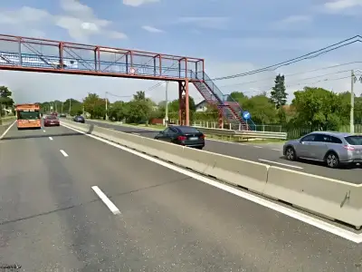 Teren de vanzare cumparare Tâncăbești Ilfov drum asfaltat
