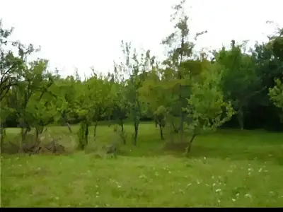 Teren intravilan livada de vanzare in Teisani Prahova