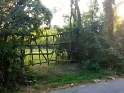 Teren de vanzare cu drum acces Teisani Prahova