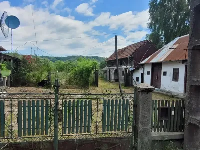 Teren de vanzare-cumparare Voinești Dâmbovița gard verde