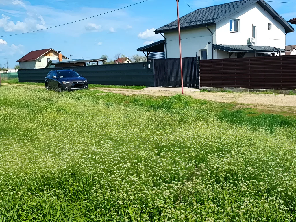 Teren verde vanzare-cumparare masina Adunații-Copăceni Giurgiu