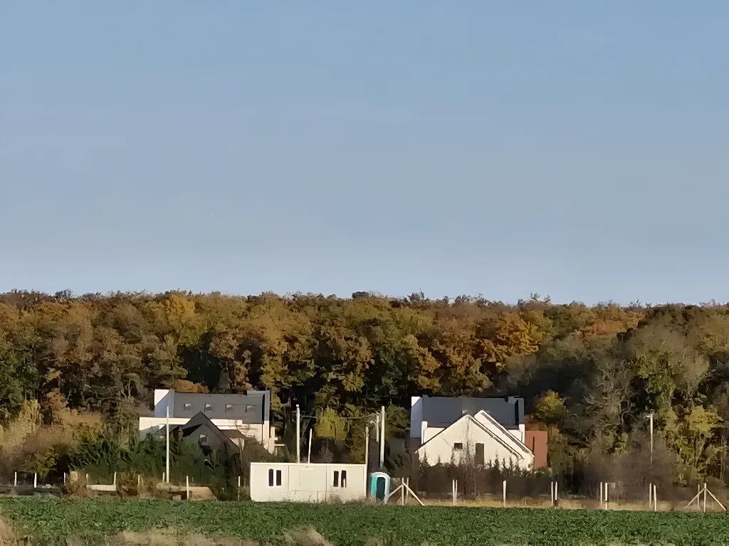 teren intravilan vanzare cumparare Balotești Ilfov verdeață