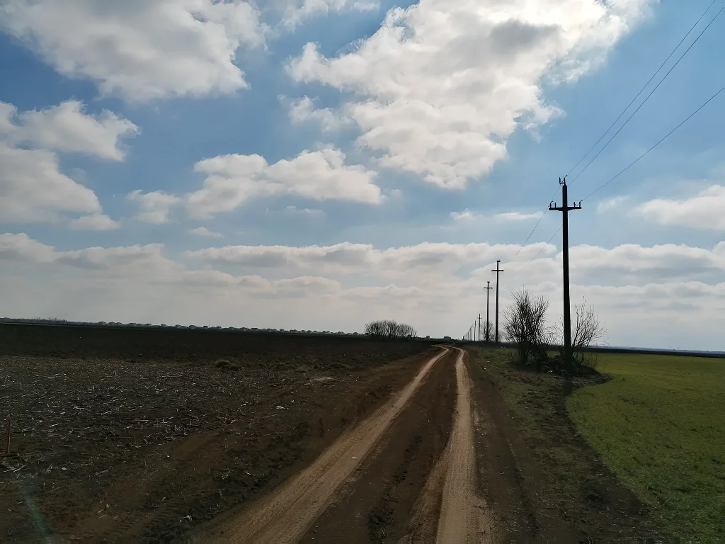 Drum de acces către teren de vânzare în câmp Balotești Ilfov