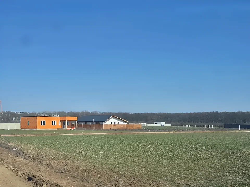 Teren intravilan vanzare Balotești Ilfov cu multa verdeata