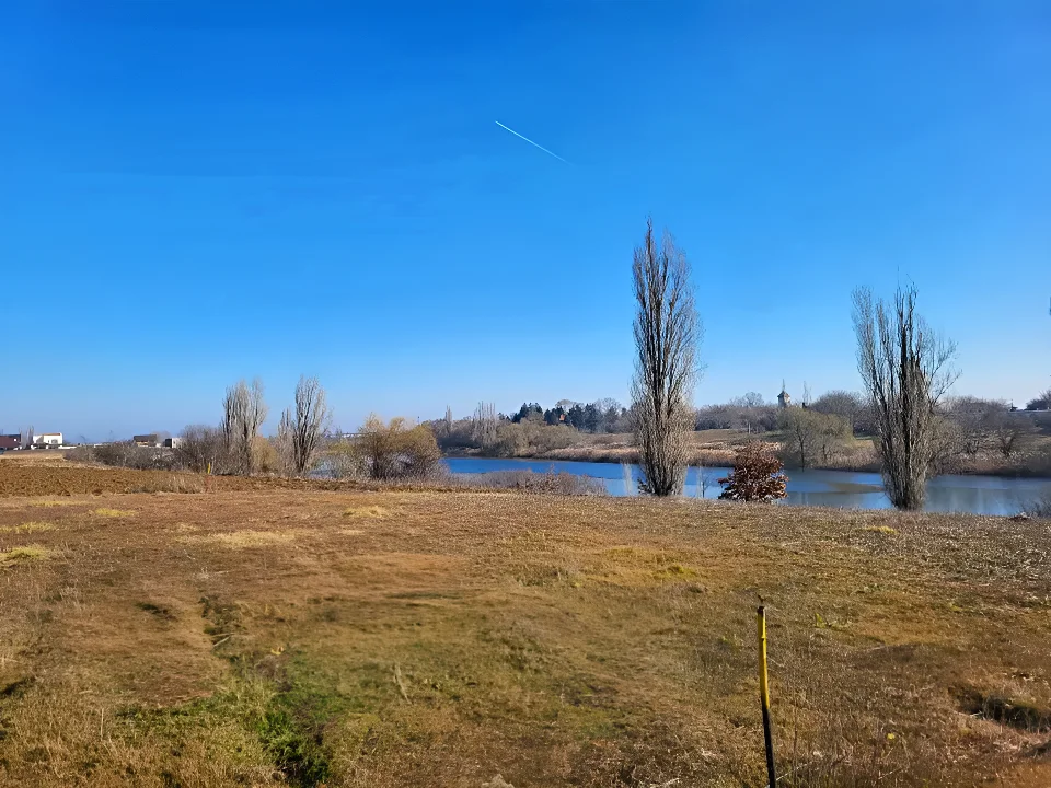 Vanzare cumparare teren intravilan cu verdeata Balotesti Ilfov