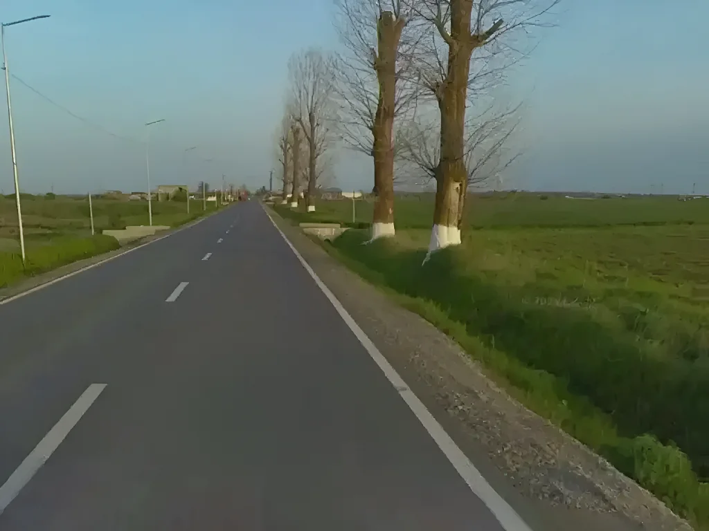 Drum acces principal teren vanzare cumparare Blejești Teleorman