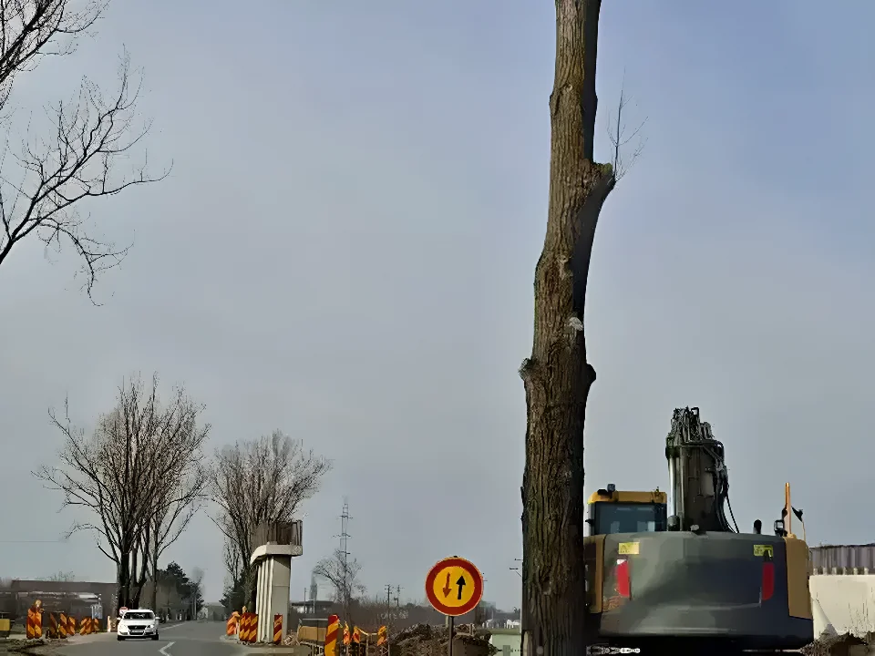 Teren de vanzare Buftea Ilfov cu acces la drum asfaltat