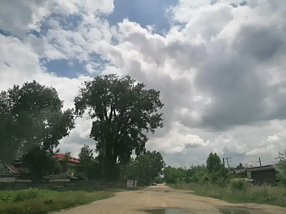 Teren de vanzare-cumparare Buftea Ilfov drum acces cu copac