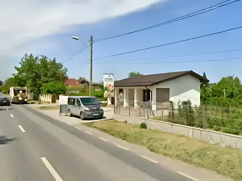 Vanzare teren intravilan cu verdeata Buftea Ilfov