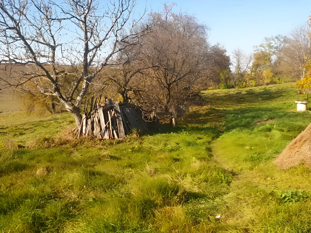 Teren de vanzare-cumparare in Cavadinești Galați drum pamant