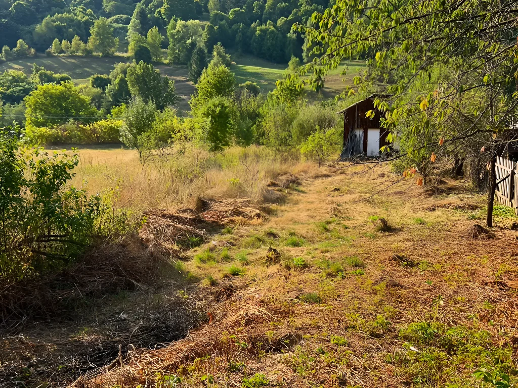 teren intravilan cu verdeata vanzare cumparare Ceahlău Neamț