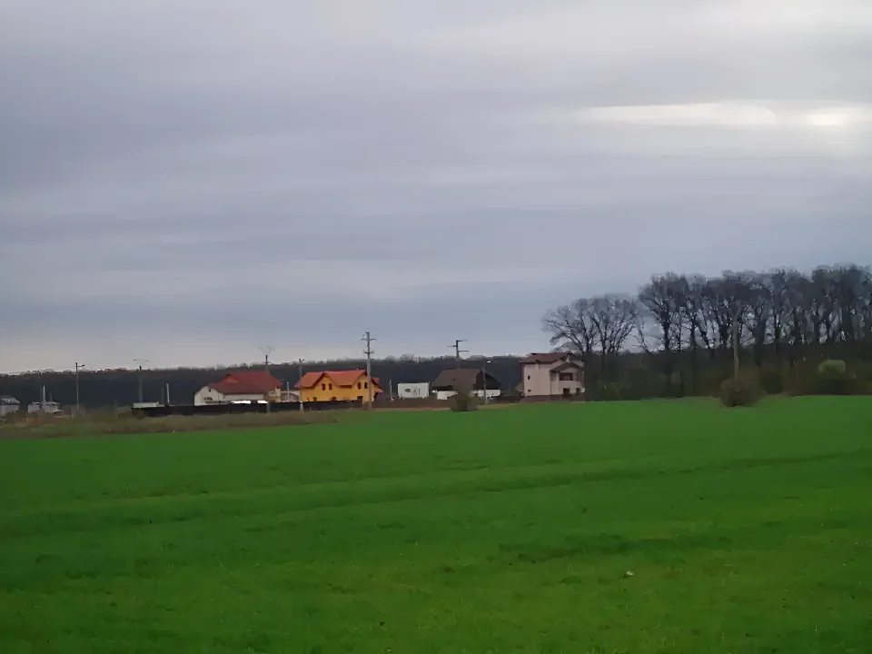 Teren intravilan de vanzare cumparare in Cioflinceni Ilfov