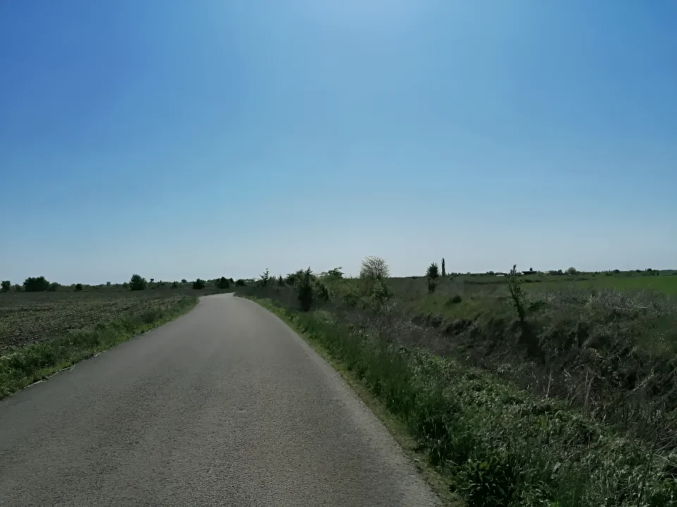 Teren de vanzare-cumparare drum acces Corbeanca Ilfov
