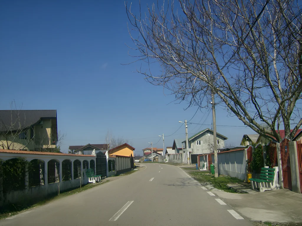 teren vanzare cumparare Corbeanca Ilfov drum acces case copaci