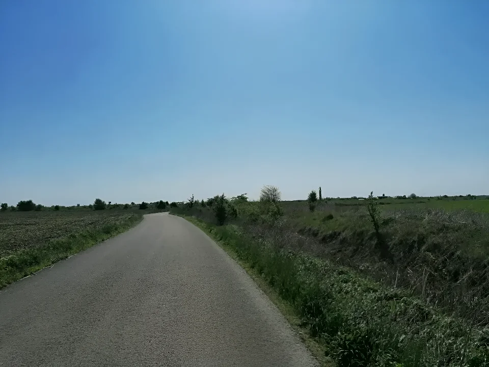 Drum acces teren vanzare cumparare Corbeanca Ilfov