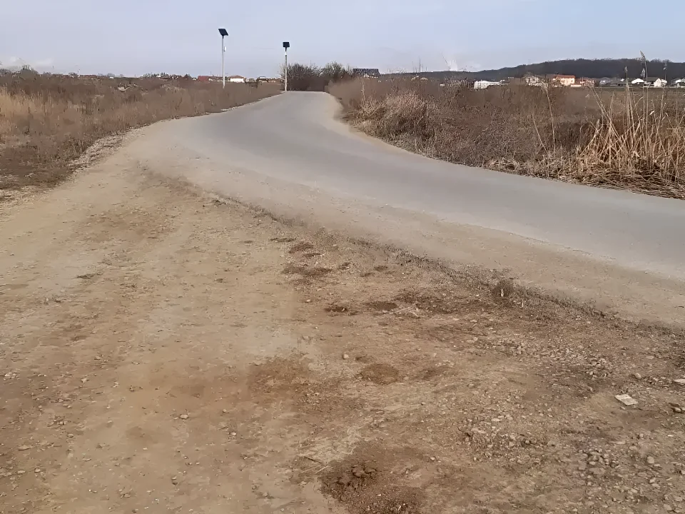teren vanzare cumparare Corbeanca Ilfov drum acces camp