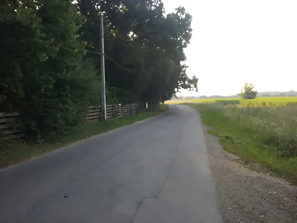 Teren de vanzare-cumparare Corbeanca Ilfov drum acces camp