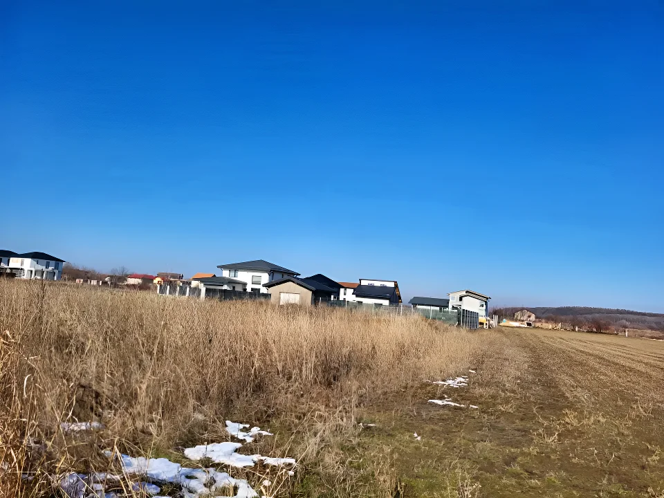 Teren intravilan vanzare cumparare cu verdeata Corbeanca Ilfov