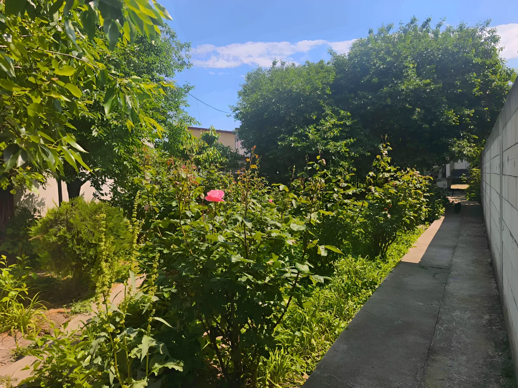 Teren intravilan vanzare cumparare gradina verde in Galati