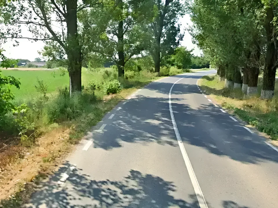 teren de vanzare Gruiu Ilfov cu acces drum asfaltat