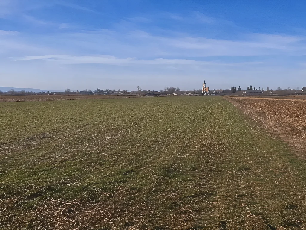 Teren extravilan vanzare cumparare Iugani Iași vedere biserică