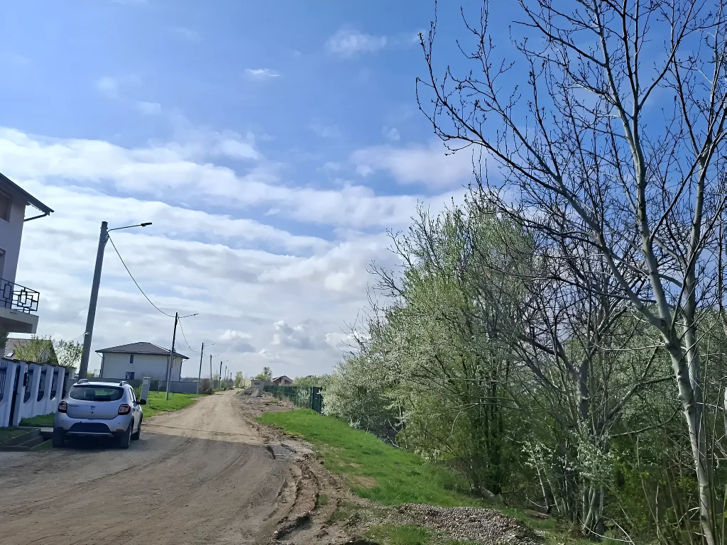 Teren de vanzare-cumparare cu drum de pamant in Saftica Ilfov